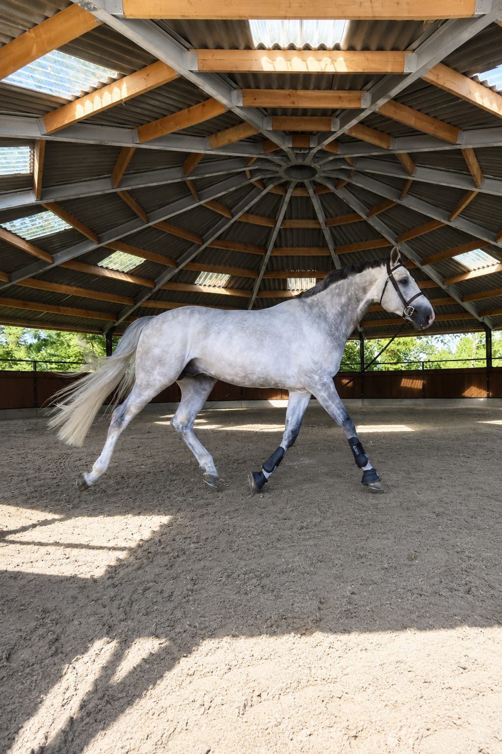 Stable Tour — photo 12